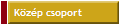 Kzp csoport