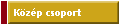 Kzp csoport