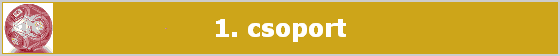 1. csoport